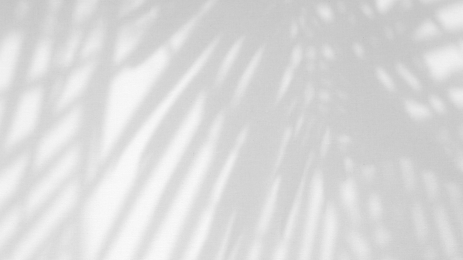 Leaves Natural Shadow Overlay on White Texture Background